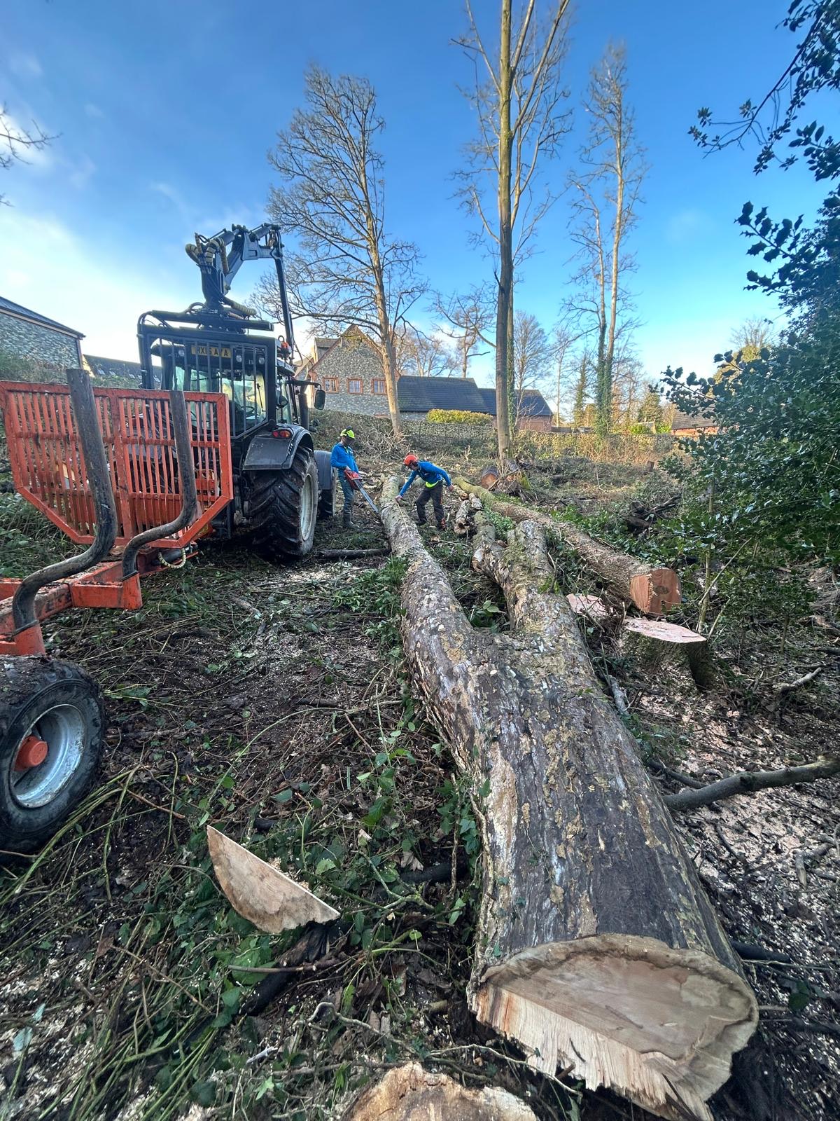 The Harbour Tree Care team on site in Leicestershire