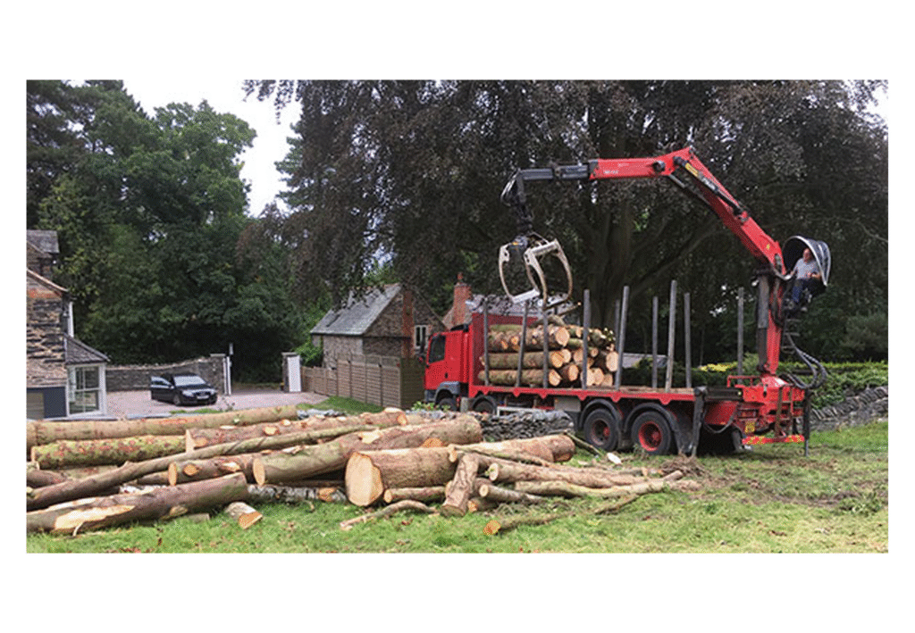 Harbour Tree Care carrying out professional site clearance with tree and vegetation removal in Leicestershire