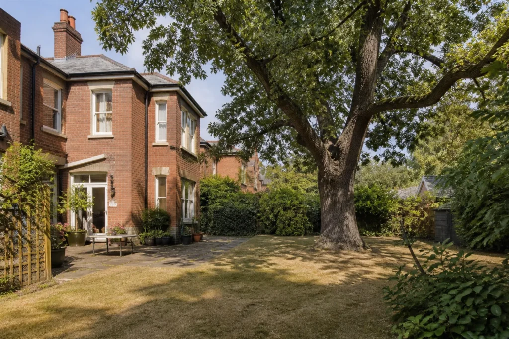 Mature oak tree in the back garden of an older brick house, showing trees near buildings in late summer